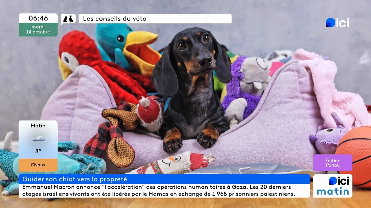 14/10/2025 - ici matin par ici Poitou en vidéo