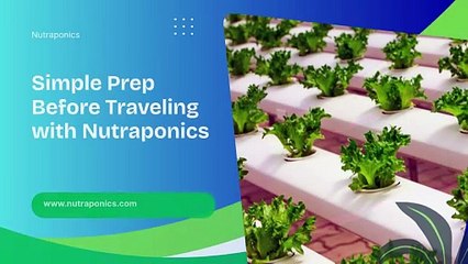 Traveling Soon? Keep Your Nutraponics Thriving! | Nutraponics Reviews