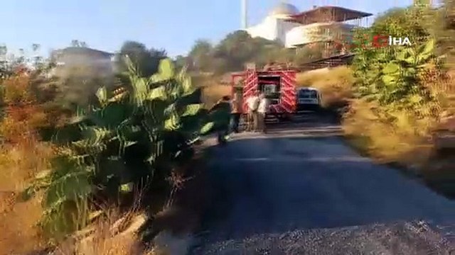 Yangında ev küle döndü, tek teselli kurtarılan muhabbet kuşları oldu