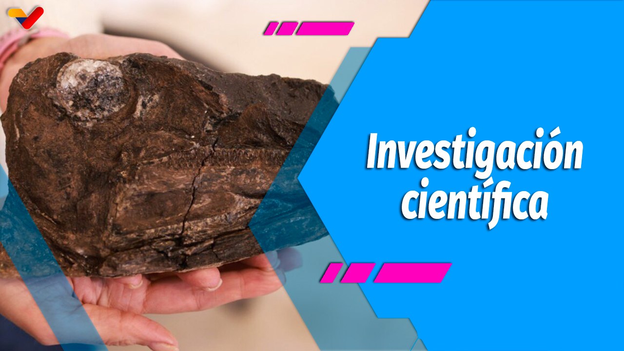 Con Maduro + | Científicos venezolanos revelan nuevas especies de dinosaurios hallados en Táchira