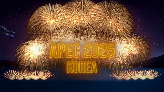 [기업] 한화그룹, 갈라 만찬 불꽃쇼로 APEC 정상회의 지원 / YTN