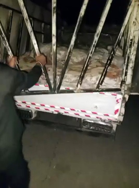 أنا درزي كاثوليكي.