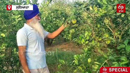 ਰੁਪਿੰਦਰ ਕੌਰ ਨੇ ਬਣਾਈ ਵੱਖਰੀ ਪਛਾਣ, ਨੌਕਰੀ ਛੱਡ ਸਾਰਾ ਪਰਿਵਾਰ ਕਰ ਰਿਹੈ ਜੈਵਿਕ ਖੇਤੀ, ਜਾਣੋ ਕਾਰਨ