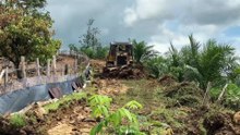 Old Road Service Technique for a Sturdy Plantation with a D6R XL Bulldozer