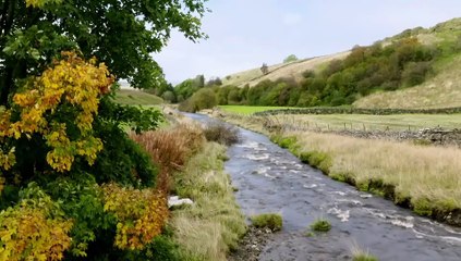 Four Bed  Season 29 Episode 66