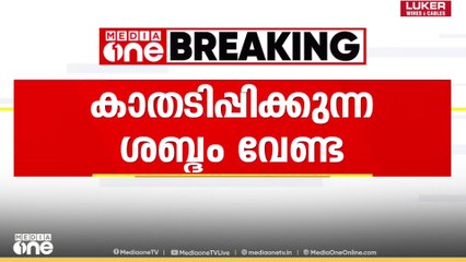 'കാതടിപ്പിക്കുന്ന ശബ്ദം വേണ്ട; വാഹനങ്ങളിലെ എയർ ഹോണുകൾ ഇല്ലാതാക്കും'