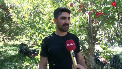 Yüksekovalı üretici, 25 yıllık bahçesinden 200 ton elma hasadı yaptı