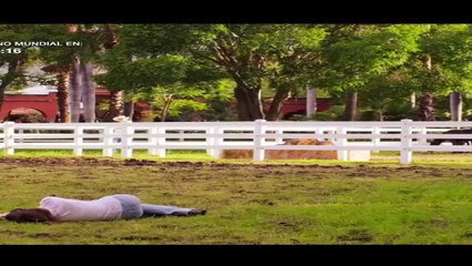 Monteverde Completo - Capitulo 86 (Final)