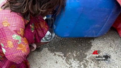 Ghi 2025: Riva, ‘Ong unici occhi del mondo in grado di raccontare’