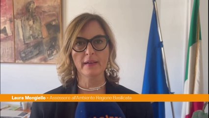 Basilicata, primo studio di telemetria satellitare sulla cicogna nera