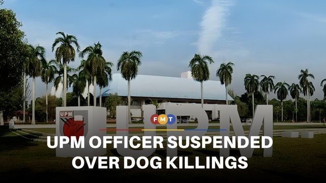 UPM apologises for stray dog killings on campus