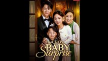 The CEO's Baby Surprise Full