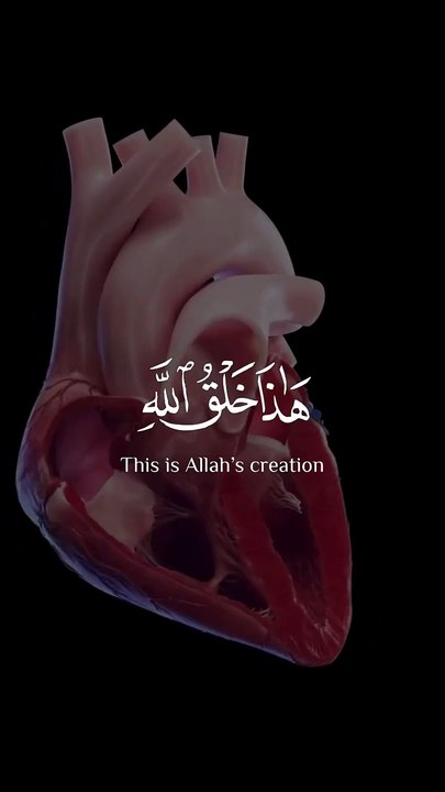Islamic best video_islam_muslims_allah_sukoon#allah#islam#sukoon