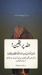 Islamic best video_islam_muslims_allah_sukoon#allah#islam#sukoon