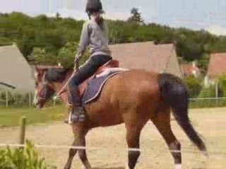 Séance d'etho top pour l'anniv de Flipper !!