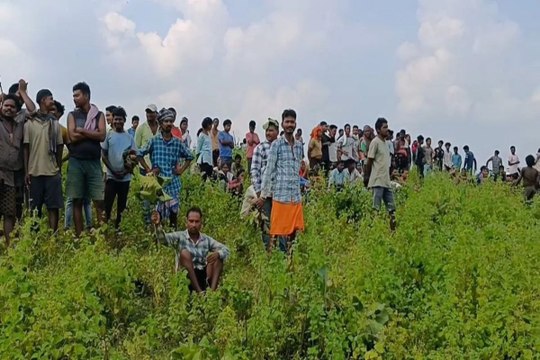 भोपाल के युवक को अंबिकापुर के समीप हाथियों ने कुचलकर मार डाला