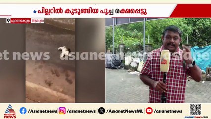 രക്ഷപ്പെട്ടേ....; ആലുവയിൽ മെട്രോ പില്ലറിനുള്ളിൽ കുടുങ്ങിയ പൂച്ച താഴേക്ക് ചാടി