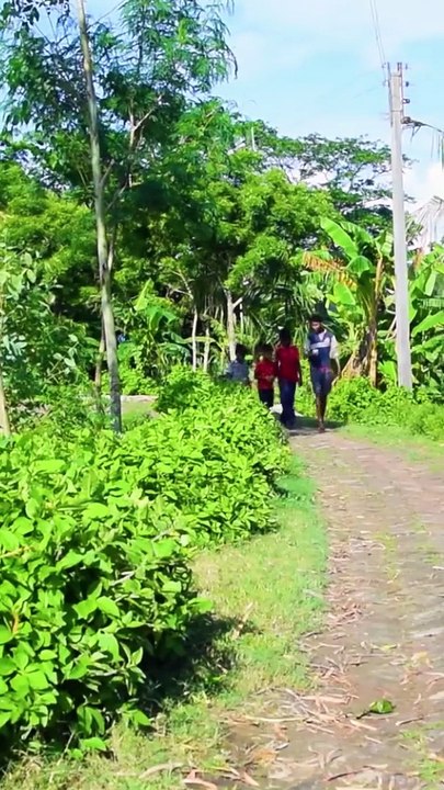 What it s like to live in a Bangladeshi Village #shorts