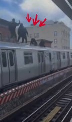 'Surfear’ el metro por hacerse viral: la peligrosa moda que se ha cobrado varias vidas en Nueva York