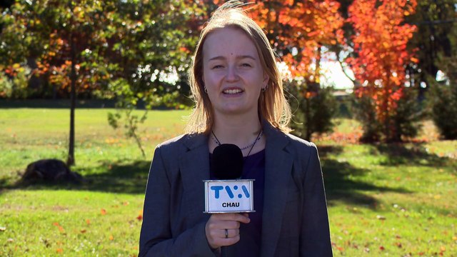 Ateliers pour artistes de Accès Microcrédit