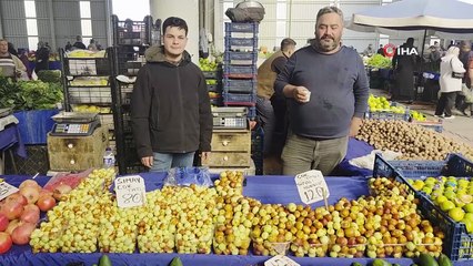 Hünnap, 300 yıllık bereketi taşıyor sanılıyordu! 620 yaşında çıktı! Hünnap nerede yetişir, ne kadar büyür? Hünnap faydaları