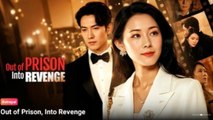 Out Of Prison Into Revenge