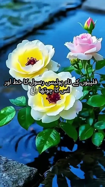 Good bless you