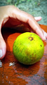 I Cut This Yellow Lemon Easily — Fruit Cutting Skills