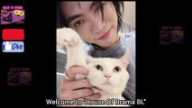 [Eng Sub] 13 Oct 2025 BossNoeul Updates | Boss White Cat Khao Jua Passed Away #บอสโนอึล #bossnoeul #BoNoH