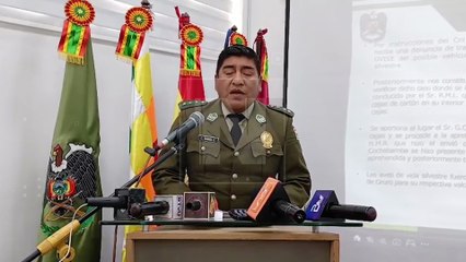 Rescatan 28 loros enviados como encomienda de Cochabamba a Oruro; hay dos aprehendidos