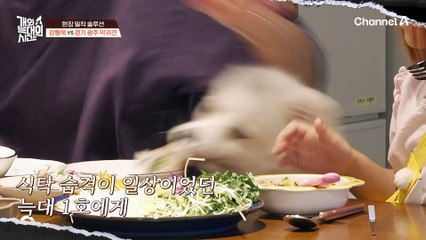 음식을 쟁취의 대상으로 여겼다?! '인내'란 무엇인지 차분히(?) 가르쳐주는 강형욱