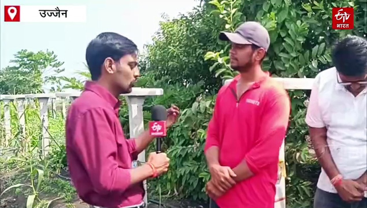 मध्य प्रदेश के किसान का नवाचार, ड्रैगन फ्रूट की खेती से मिलेंगे हर साल 32 लाख