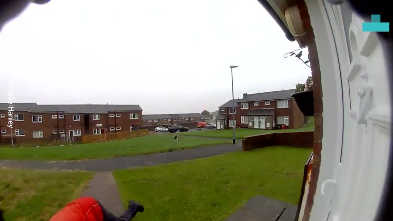 Postman Slips While Delivering Parcel
