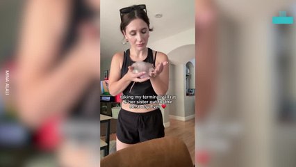 Adorable Pig and Rats Share Heartwarming Day Out 🐹🐷