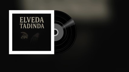 Sevgi Akkaya - Elveda Tadında (Official Audio)