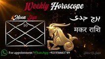 🏔️ Capricorn Weekly Horoscope | Career Wins & Growth Energy!