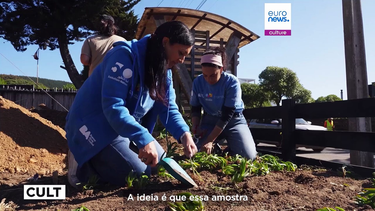 O Catar e o Chile colaboram para plantar sementes de património e traços de tradição