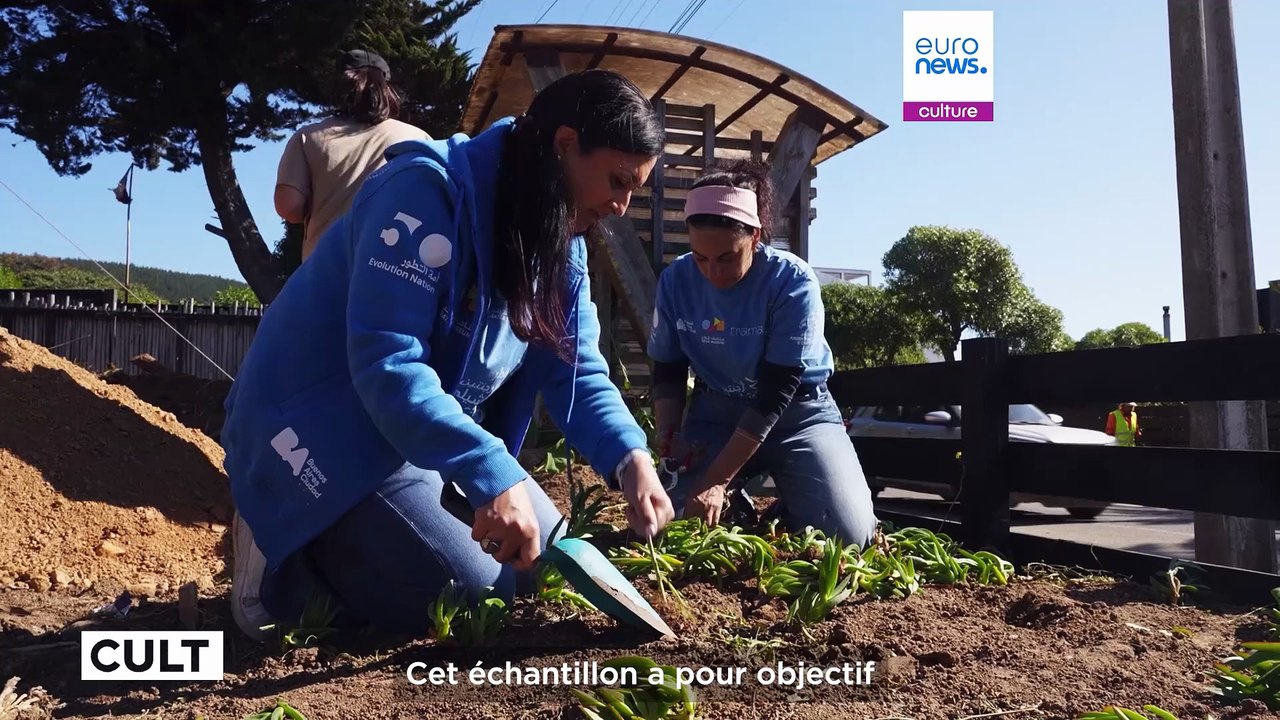 Le Qatar et le Chili collaborent pour planter des graines du patrimoine et des touches de tradition