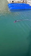 Qui veut le toucher ? 🤡