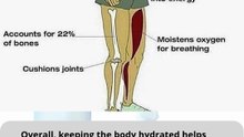 Benefits of Water for Body Organs