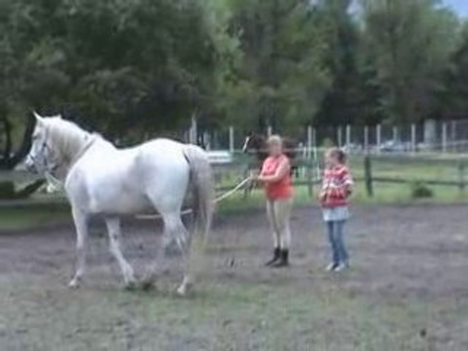 Helene et Cirrus