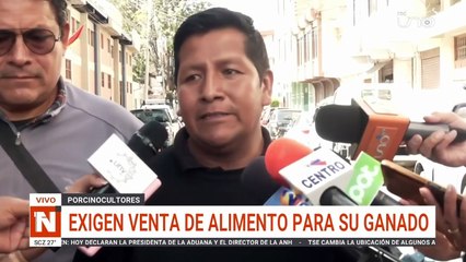 ¿Habrá carne de cerdo a fin de año? Productores protestan con animales muertos frente a Emapa