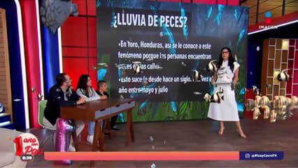 Sabían que existe una lluvia de peces? | DPC con Paola Rojas