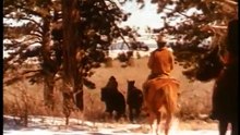 REVENGE (aka JOSHUA) Free Full Blaxploitation Western Movie, English, Classic Fe
