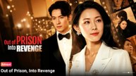 Out Of Prison Into Revenge Full