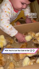 Baby Tries to Eat a Chick 🐥😂 | Cutest Oops Moment Ever!|| Heartsome 💖