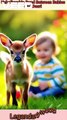 Unbelievable bond between babies and Deer | incredible humanity | Amazing Scene #inspiration #love