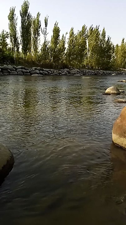VID_20251008_162909