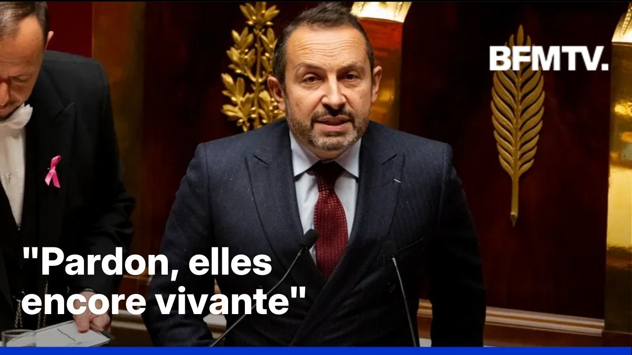 "Madame Touraine doit se retourner dans sa tombe": Sébastien Lecornu fustige une phrase de Sébastien Chenu