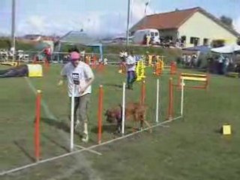 Jumping